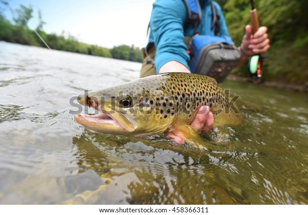 Fly-fisherman\
holding brown trout out of the\
water