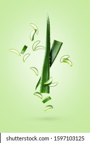 Flying in the air Aloe vera fresh leaf isolated on mint green background with copy space. Green fresh layout for ad products with aloe vera.