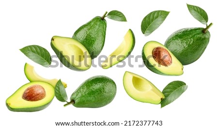 Flying in air Avocado whole and cut in half with leaf isolated on white background. Levitation Avocado Clipping Path.