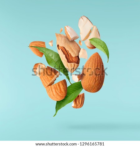 Flying in air fresh raw whole and cut almonds  isolated on turquoise background. Concept of Almonds is torn to pieces close-up. High resolution image