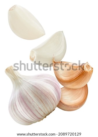 Flying in air Garlic bulb collection. levitation Garlic clipping path. Organic garlic macro studio photo. Full depth of field
