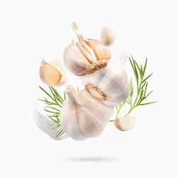 Flying In Air Garlic Isolated On Light Gray Background. Levitate Garlic With Fresh Dill Leaves. Clipping Path Garlic. Garlic Macro Studio Photo.
