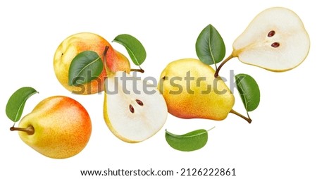 Flying in air yellow pear fruit isolate. Pear on white. Falling pear clipping path. High End Retouching