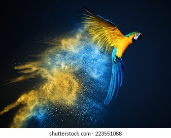 Fliegender Ara-Papagei auf bunter Pulverexplosion