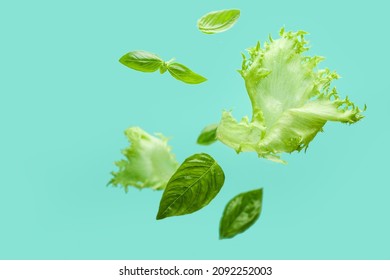 Flying Basil Leaves And Lettuce Salad On Color Background