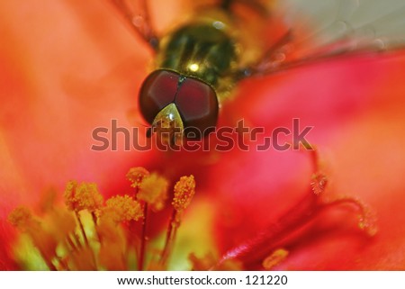 Similar – Image, Stock Photo Zero eight fifteen. Sharpness.