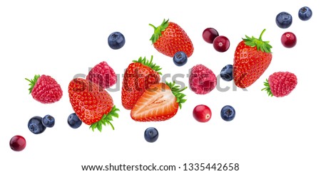 Flying berries isolated on white background with clipping path, different falling wild berry fruits mix, collection
