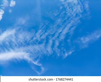 Flying Bird Cloud Form With Blue Sky Background