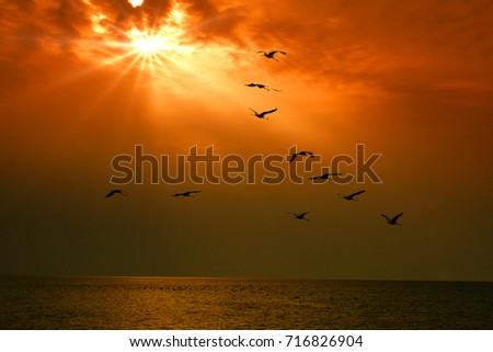 Similar – Image, Stock Photo towards the sun romantic