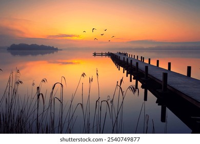 flying birds over wooden pier in the calm and tranquill morning - Powered by Shutterstock