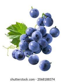 Flying blue grapes isolated on white background. Bunch of falling berries. Package design element with clipping path