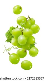 Flying bunch of green grapes isolated on white background. Fresh berries falling. Vertical layout. Clipping path included