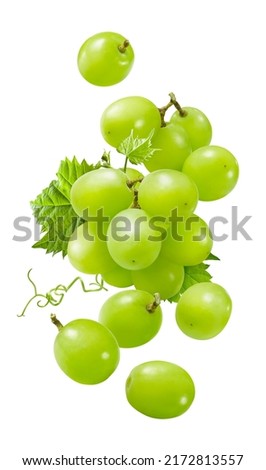 Flying bunch of green grapes isolated on white background. Fresh berries falling. Vertical layout. Clipping path included
