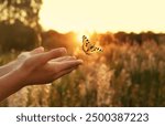 flying butterfly and human hands on abstract sunny natural background. end of summer concept. freedom. encounter man and nature. harmony, peaceful atmosphere landscape