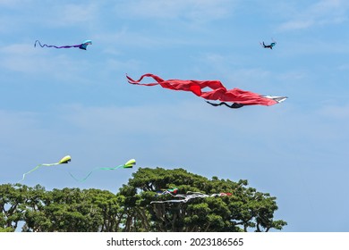 Flying Colorful Chinese Kites At The Park