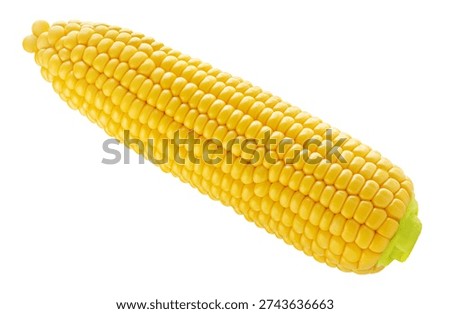 Flying Corn cob isolated on white background. Fresh  Sweet corn levitating in air. Top view. Flat lay