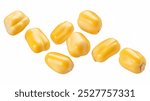 Flying corn seeds cut out Isolated on White Background – High Resolution