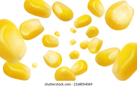 7,450 Corn Flies Images, Stock Photos & Vectors | Shutterstock