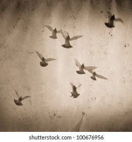 Flying Dove Group Old Grunge Paper Texture Background