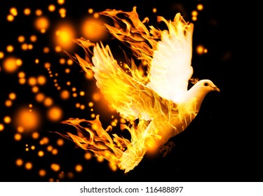 Flying Dove On Fire