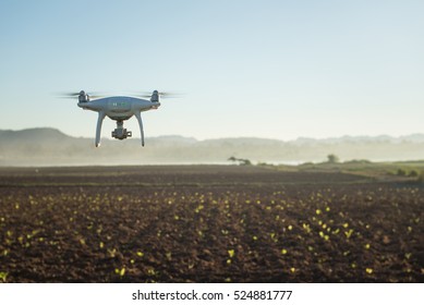 Flying Drone Above The Wheat Field