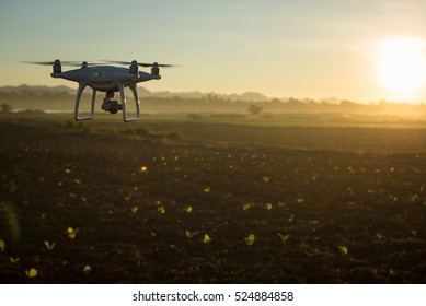 Flying Drone Above The Wheat Field