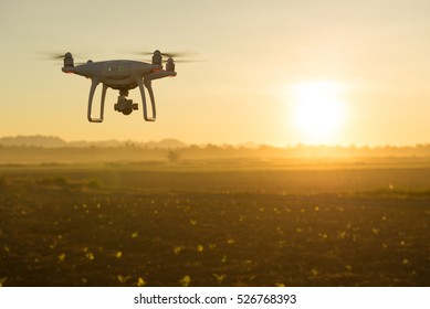 Flying Drone Above The Wheat Field