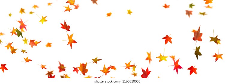 Flying Fall Leaves On White Background