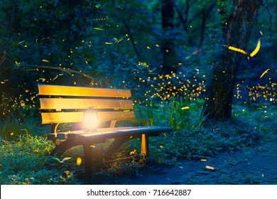 Flying Fireflies