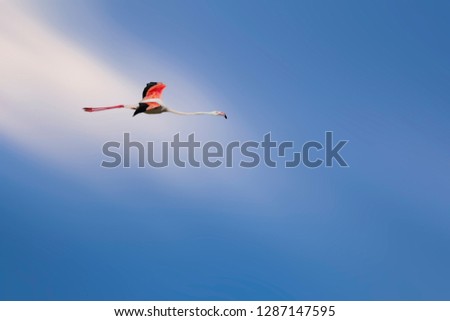 Similar – Image, Stock Photo Flight Control IV Fiss