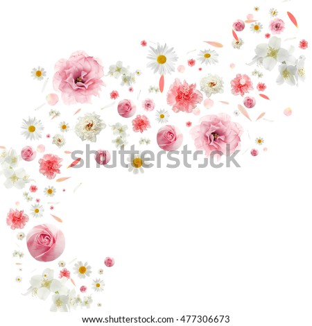 Flying flower buds and petals isolated on white Сток-фото © 