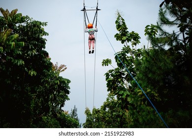 Flying Fox, An Outdoor Activity Adventure