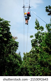 Flying Fox, An Outdoor Activity Adventure