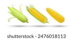 Flying fresh corn collection isolated on white background , clipping path.