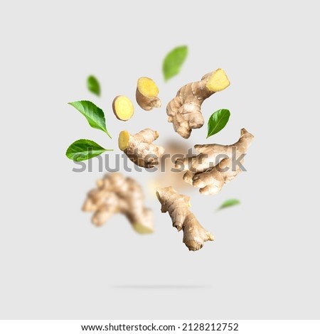 Flying fresh ginger root, green leaves isolated on gray background. Creative food concept. Natural organic ginger for health, medicine, protection against colds. Spice for cooking, ginger to immunity