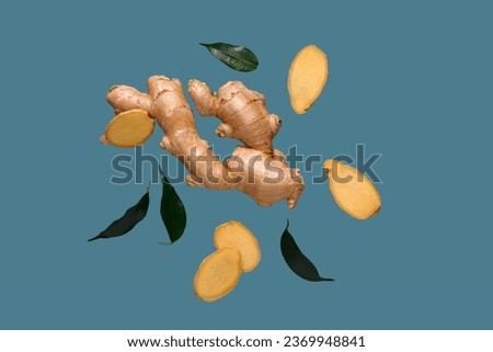 Flying fresh ginger root and leaves on blue background