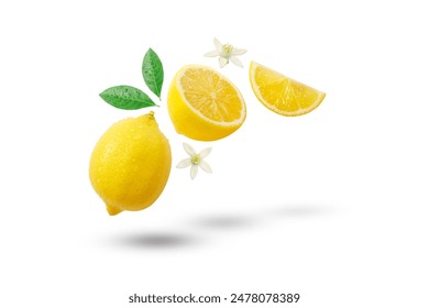 Flying fresh lemon with lemon slice and lemon flower isolated on white background , clipping path.