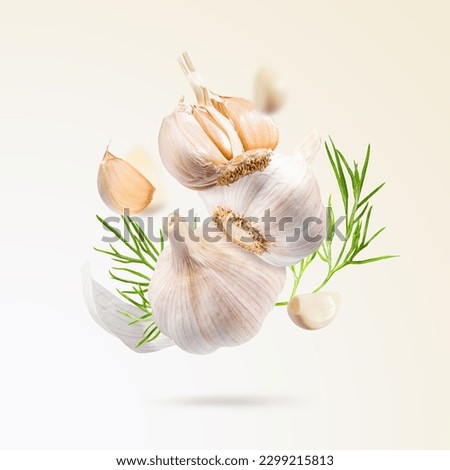 Flying fresh organic garlic with green leaves dill on a gradient beige background. Creative food concept for health, protection against colds. Spice for cooking, fragrant root vegetables to immunity.