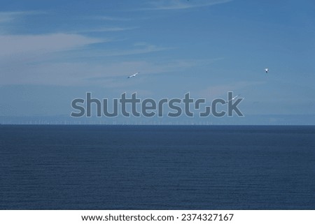 Flying Gannets in front of the offshore wind farm in the Northsea 