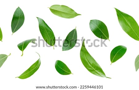 Flying green tea leaves seamless pattern on white background. 