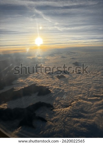 Flying high in a bright sky