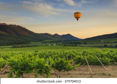 Flying hot air balloon over the mountains and vineyards.
