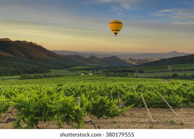 Flying hot air balloon over the mountains and vineyards.