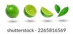 Flying lime with slices and leaf collection isolated on white background.