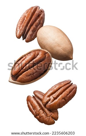 Flying pecan nuts isolated on white background. Vertical layout. Package design element with clipping path