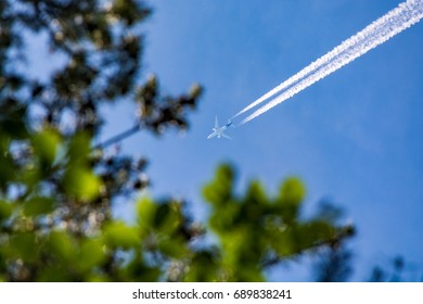 Flying plane seen through the leaves in a forest