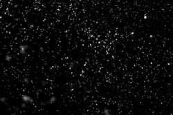 Flying Rain Or Snow On Black Background