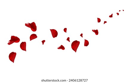 Flying red rose petals on a white background. Floating flower petals. 