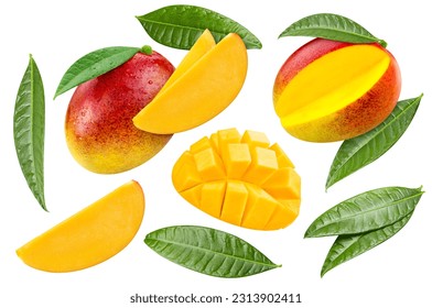 Flying ripe mango with green leaves isolated on white background. Mango collection with clipping path. Mango stack full depth of field macro shot.