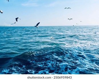 Flying Seagull somewhere in the ocean. - Powered by Shutterstock